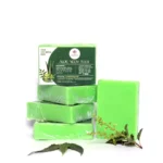 Neerambh Veda Aloe Neem Tulsi Premium Bathing Bar - Image 4